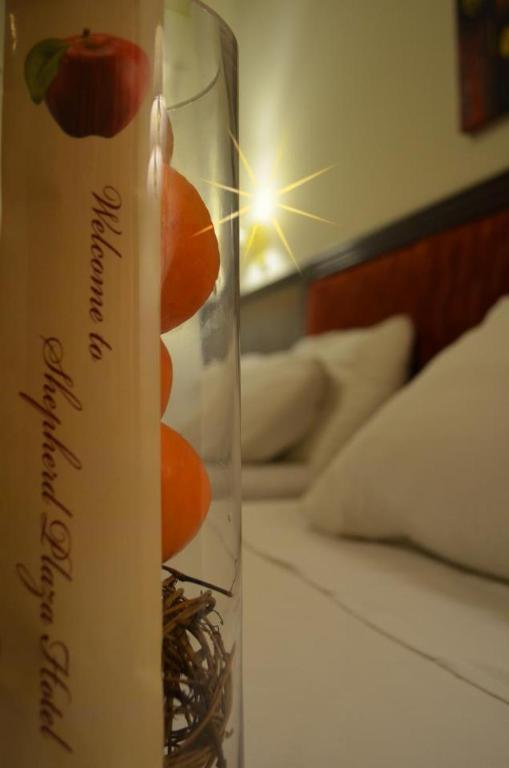 Shepherd Plaza Hotel Betlehem Eksteriør billede